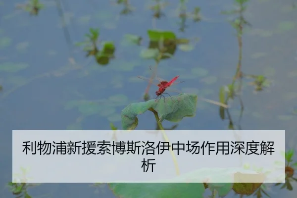 利物浦新援索博斯洛伊中场作用深度解析